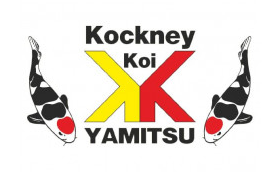 Kockney Koi